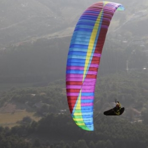 Paragliders by Brand